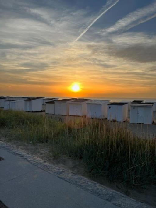 Vue Sur Dunes ! Sangatte Exterior foto