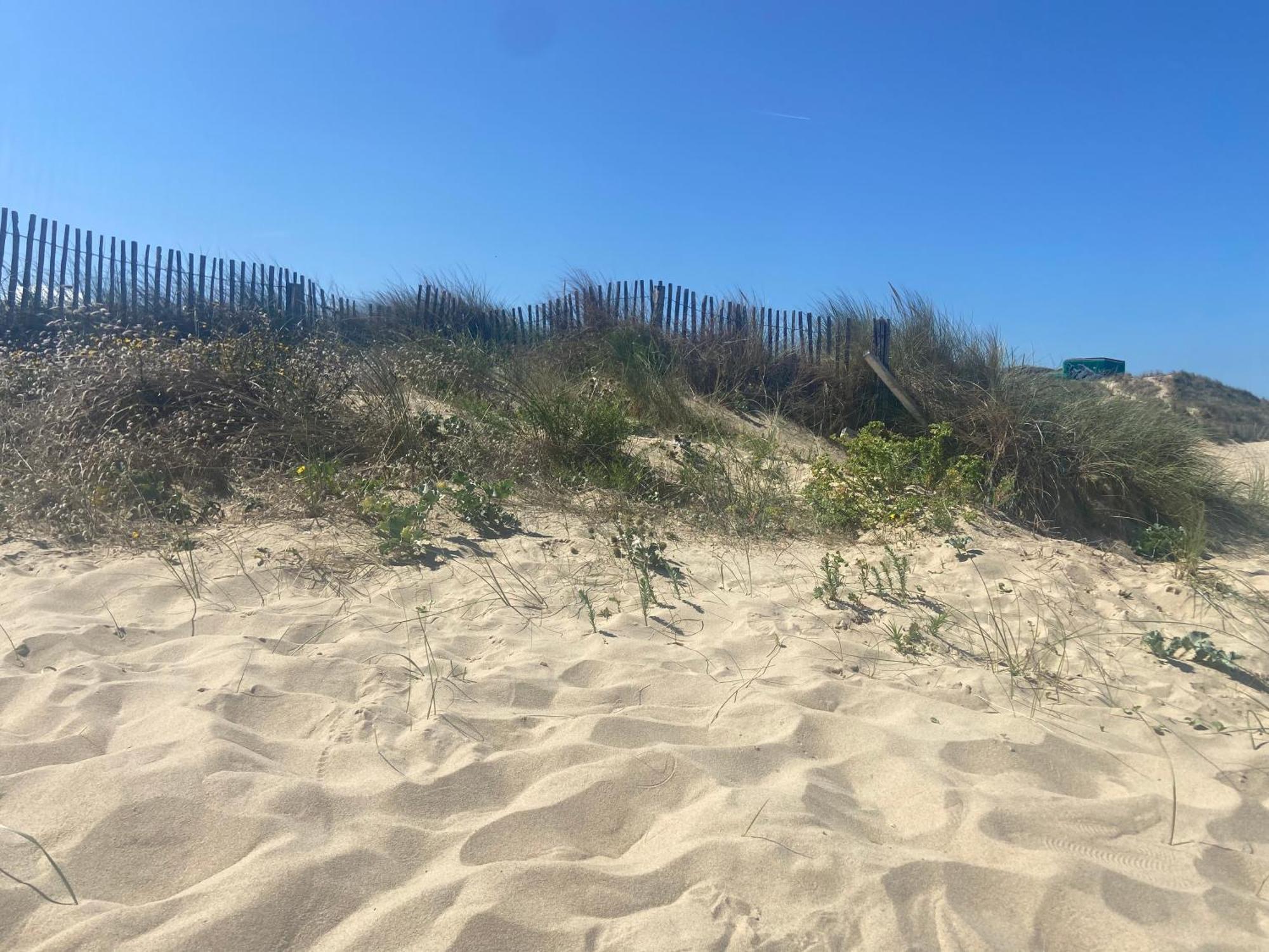 Vue Sur Dunes ! Sangatte Exterior foto